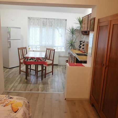 Moss'S Economy Studio Тімішоара Екстер'єр фото