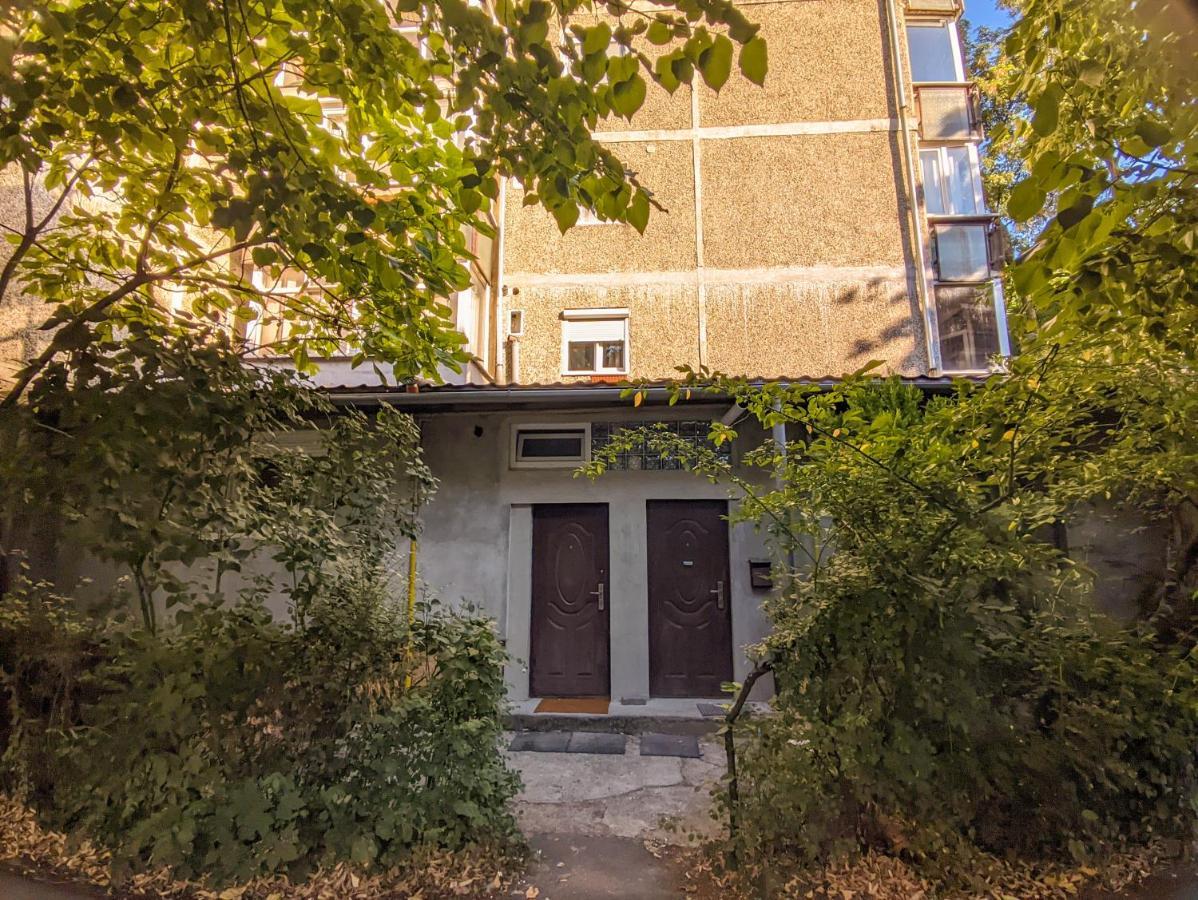 Moss'S Economy Studio Тімішоара Екстер'єр фото